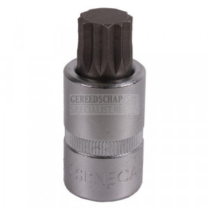 Dop spline 1/2" 55mm m8