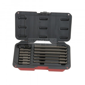 Impact bit set inbus 13 delig
