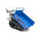 Mini dumper 320 Kg 196 cc 6.5 PK (met kiepbak)