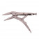 Griptang met lange neus 9" professioneel