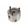HARLINGEN 80 mm 3 klauwplaat