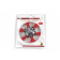 HBM 100 mm nylon schuurborstel met 6 mm opname MIDDEL K120