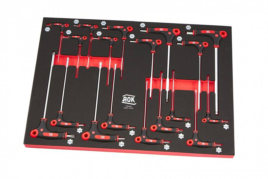 AOK PROFI 18-delige T-Grepen FOAM inlay