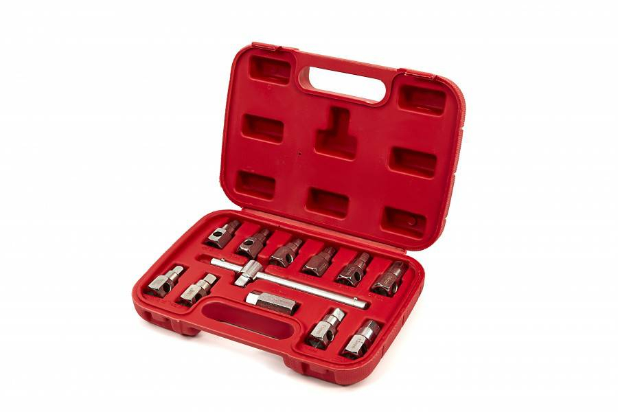 HBM 12-delige carterplug doppenset